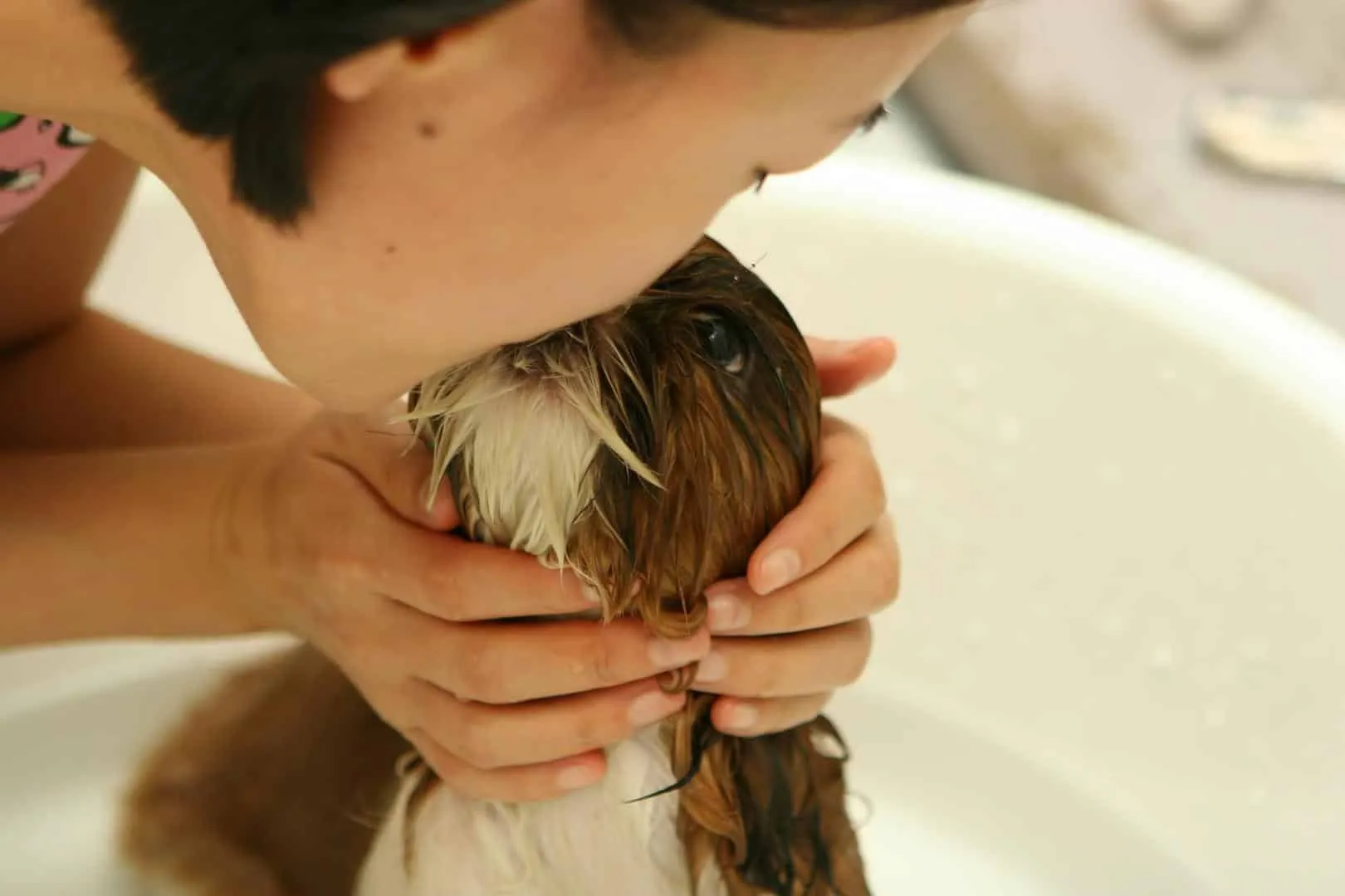 Welpe wird von einem Kind gebadet und geküsst